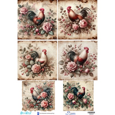 1800237 Πάσχα Κότες-Κόκορες