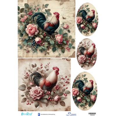 1800239 Πάσχα Κότες-Κόκορες