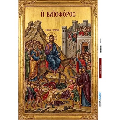 28001017 Βαϊφόρος