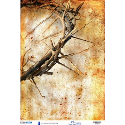 2800594 Αγκάθινο Στεφάνι