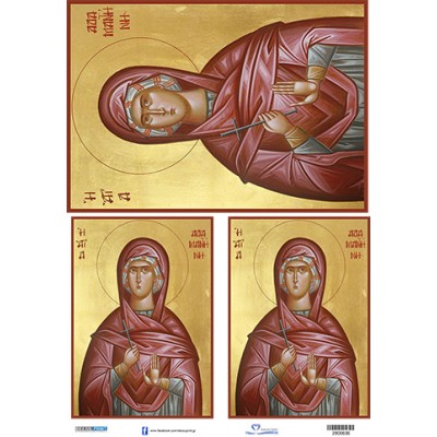 2800636 Αγία Αδαματίνη ριζόχαρτο Α3