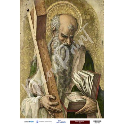 2800882 Άγιος Ανδρέας