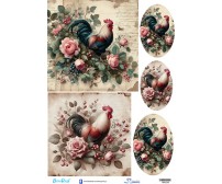 1800239 Πάσχα Κότες-Κόκορες