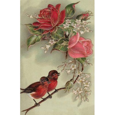1900109  birds & flowers