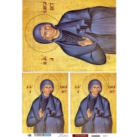 2800011 αγία Ελισάβετ